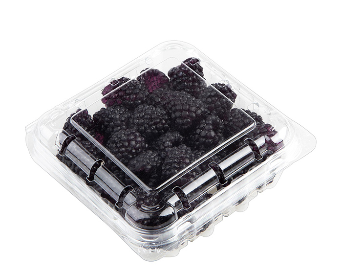 Blueberry PET packaging box