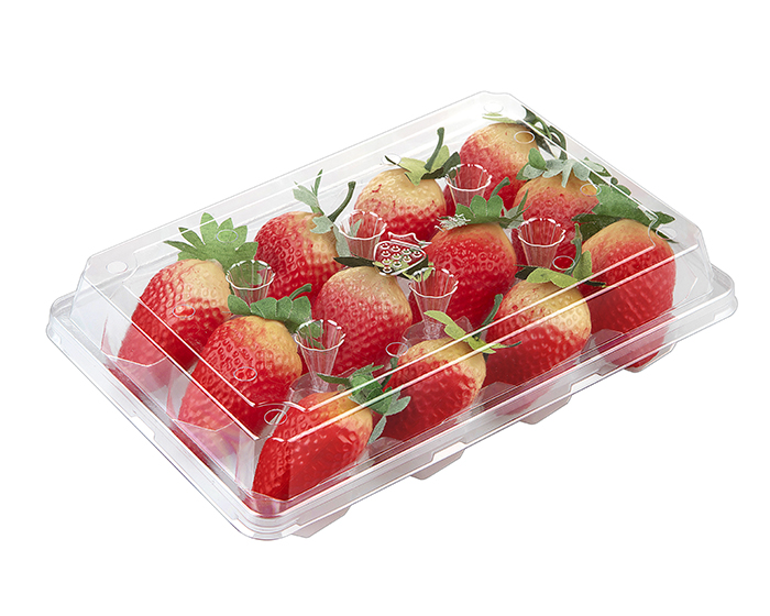 Strawberry vacuum packaging box