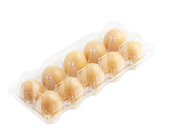 10 egg container