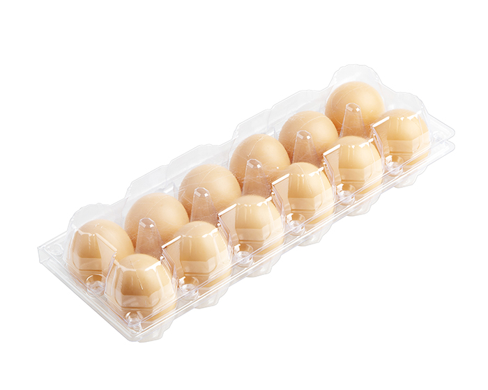 12 egg container