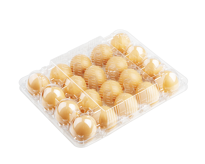 20 egg tray