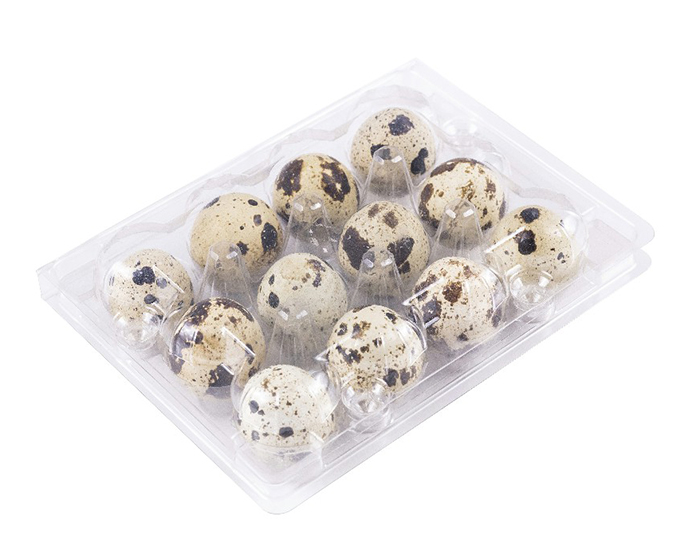 12 quail egg boxes