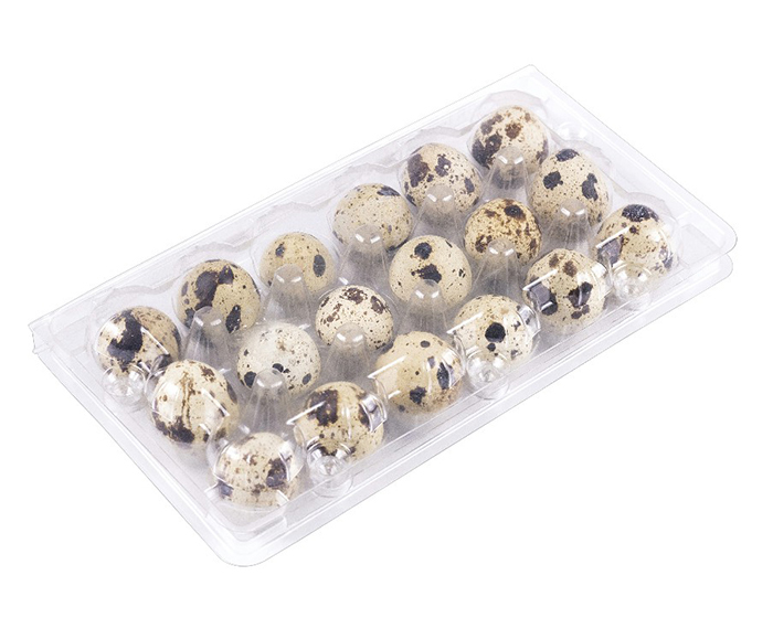 18 quail egg boxes