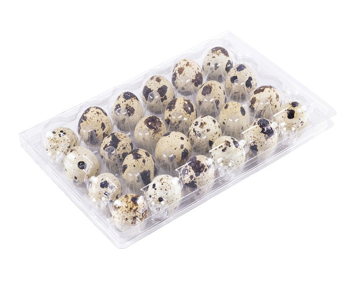 20 quail egg boxes