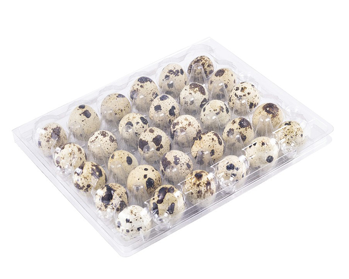 30 quail egg boxes