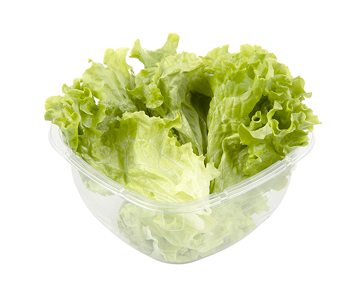 Lettuce tray