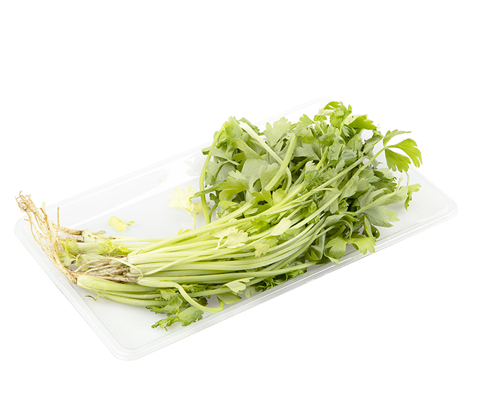 Cilantro tray