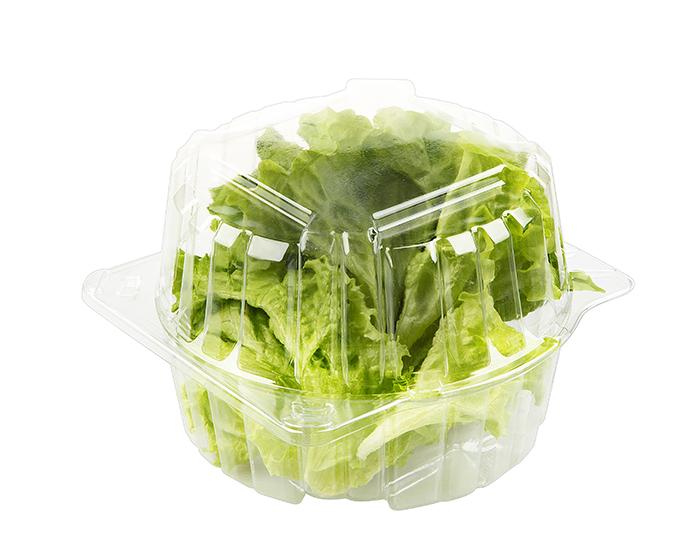 Lettuce PET Box